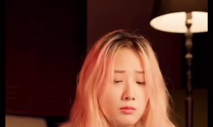 Content creater combined a ps5, xbox series x, and a switch 2 into one console