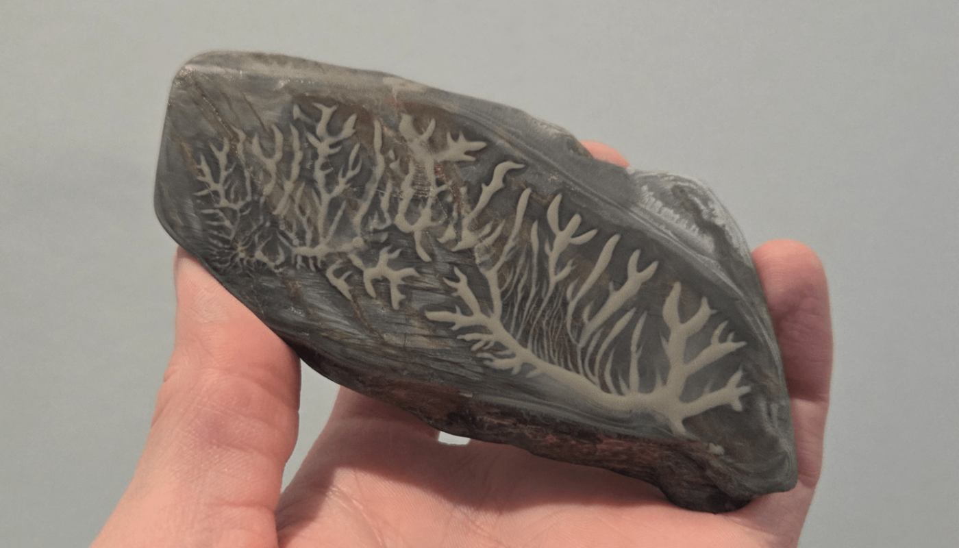 Cool pattern from wet sanding/polishing one of my rocks