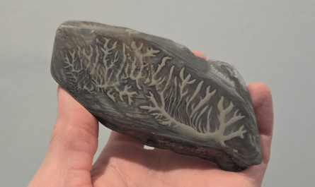 Cool pattern from wet sanding/polishing one of my rocks