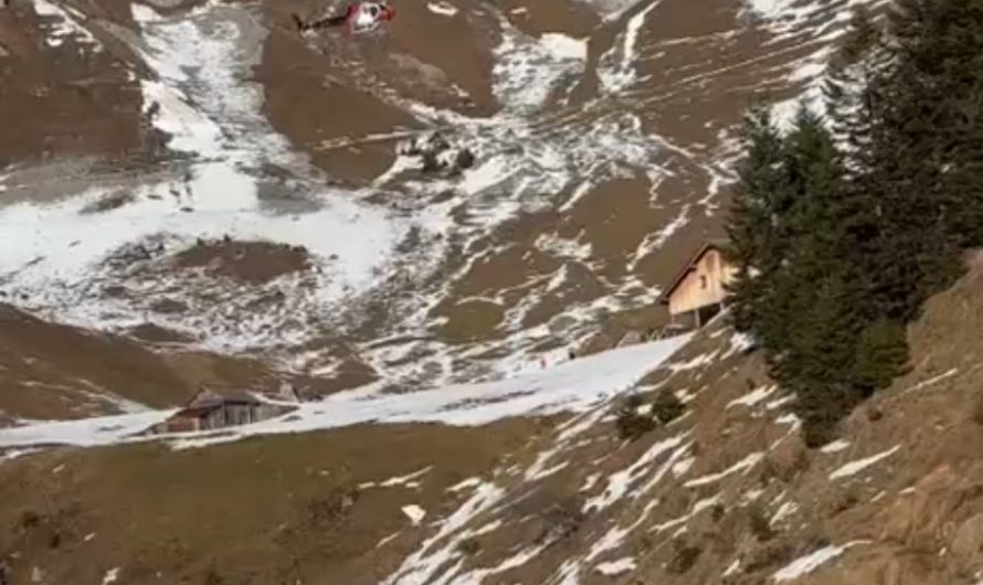 Cow rescued in Swiss alps