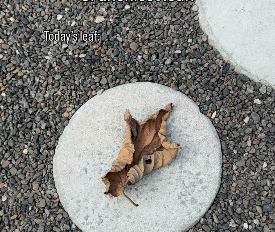 Crushing a dried up leaf.