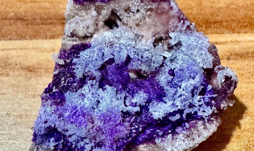 Crystals grow on mushroom when left to dry once I treated it with lye