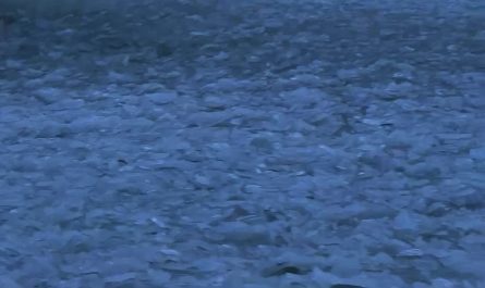 Datamoshed ice shard wave