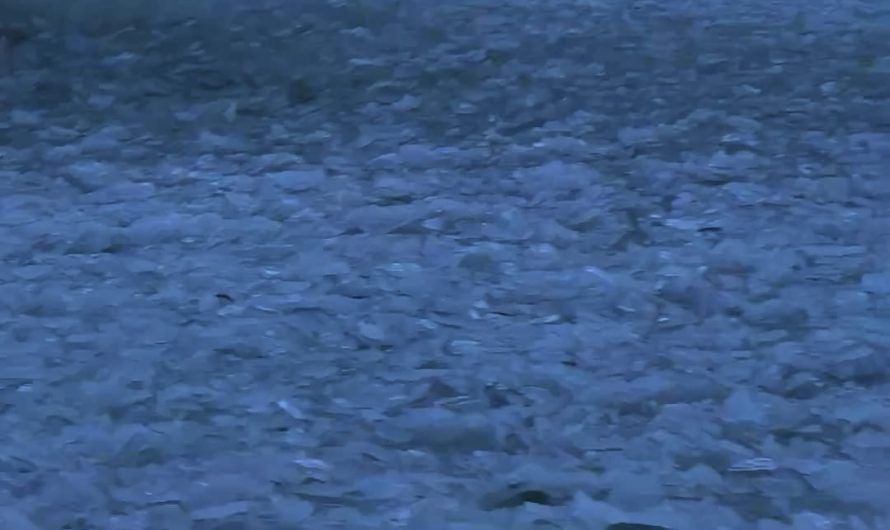 Datamoshed ice shard wave