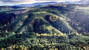 David Hampton a lumberyard manager in 2011, planted a mix of douglas fir and larch trees to depict a smiley face along an Oregon mountain side during a reforestation project of the area. Location is Sheridan, Oregon.