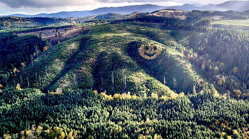 David Hampton a lumberyard manager in 2011, planted a mix of douglas fir and larch trees to depict a smiley face along an Oregon mountain side during a reforestation project of the area. Location is Sheridan, Oregon.