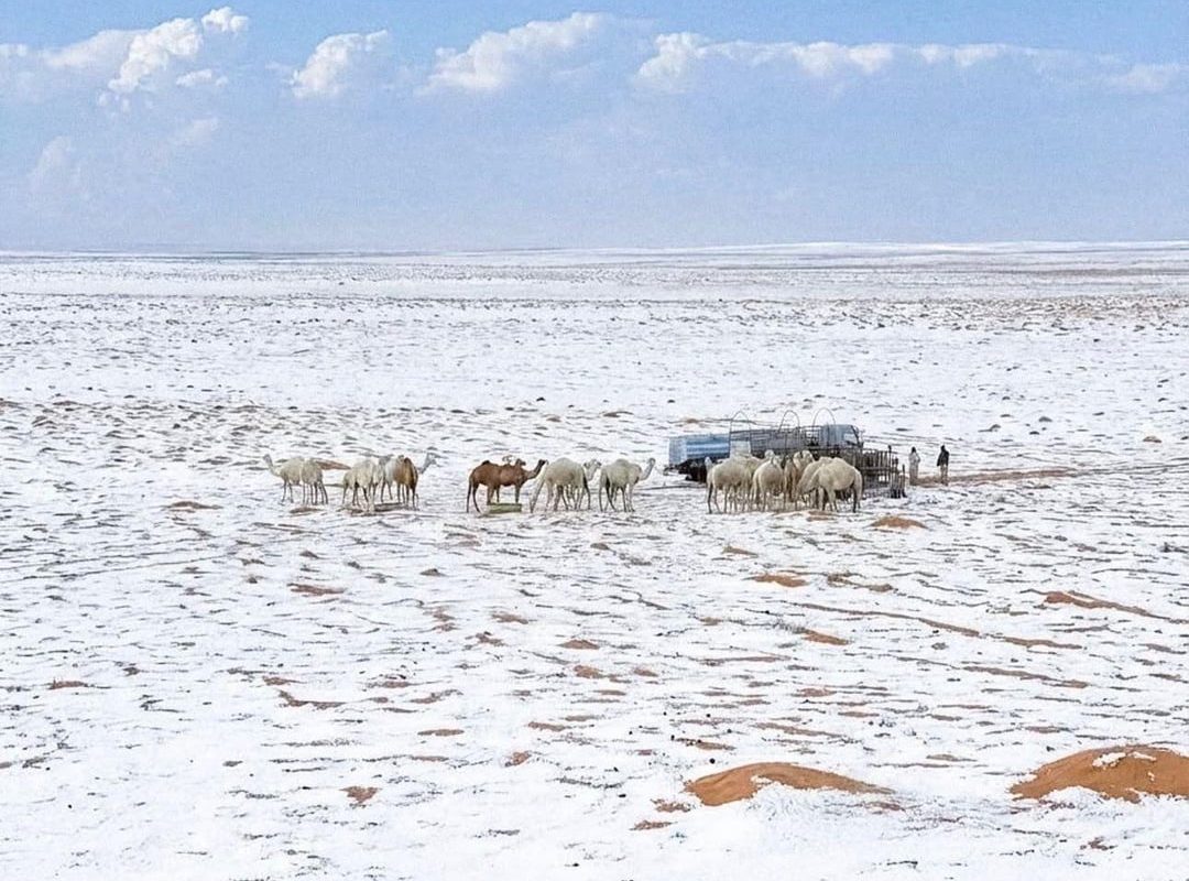 Desert of Saudi Arabia covered in snow after a super-rare winter storm across several regions of the country.