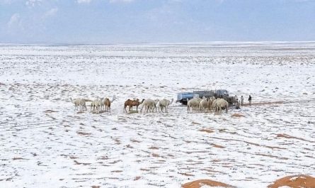 Desert of Saudi Arabia covered in snow after a super-rare winter storm across several regions of the country.