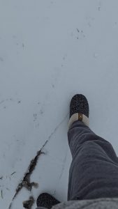 Different kinds of cronch - OC