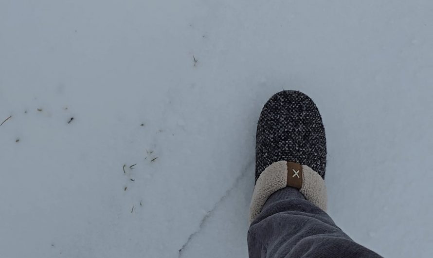 Different kinds of cronch – OC