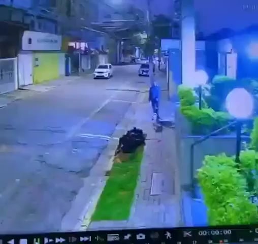 Dog protects owner from robbers