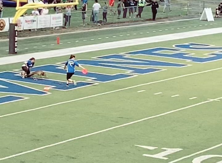 Dog shows it’s unbelievable quickness