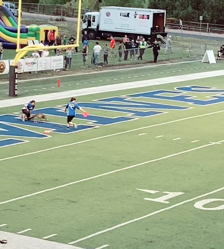 Dog shows it’s unbelievable quickness