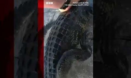 Don’t forget your seatbelt.