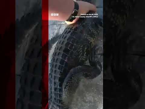 Don’t forget your seatbelt.