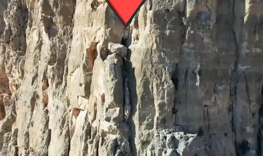 Drone footage captures a Bezoar ibex perched on a near-vertical cliff face