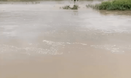 Drone rescues kids trapped in a flood