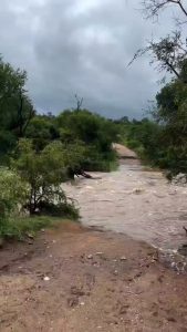 Due to the heavy rainfall of the last few days and the significant rise in river levels. At the last moment, elephant mom managed to save her calf from being swept away by the swollen river in Kruger National Park