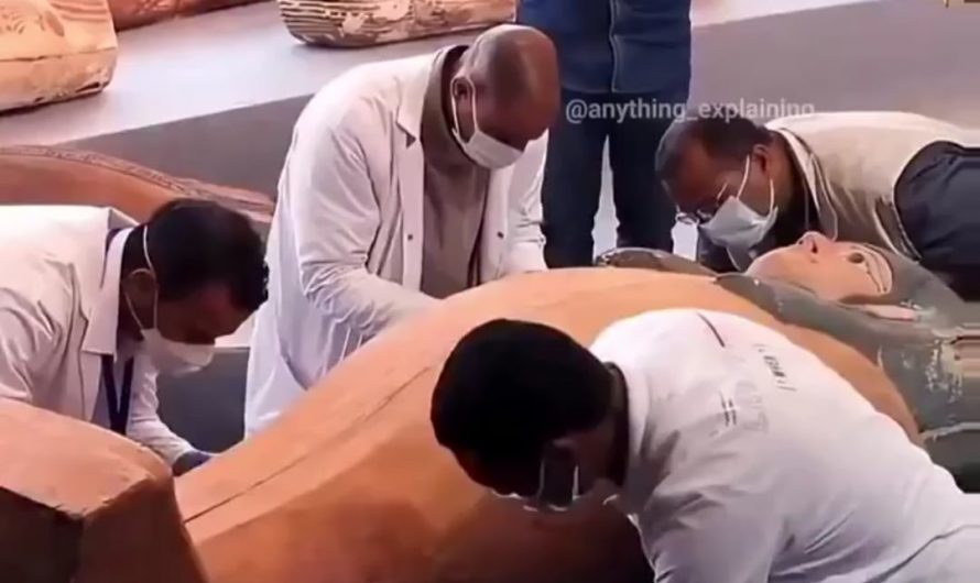 Egyptian mummy coffin opened for the first time after 2500 years.