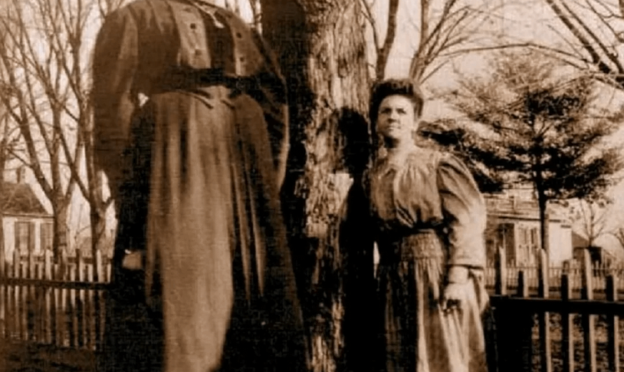 Ella Ewing posing with a regular size woman by the tree, circa 1890s. She was 7ft 4.5 (billed as 8ft4 by the circus), Worked for the Ringling Barnum and Bailey bros circus. Source in comment