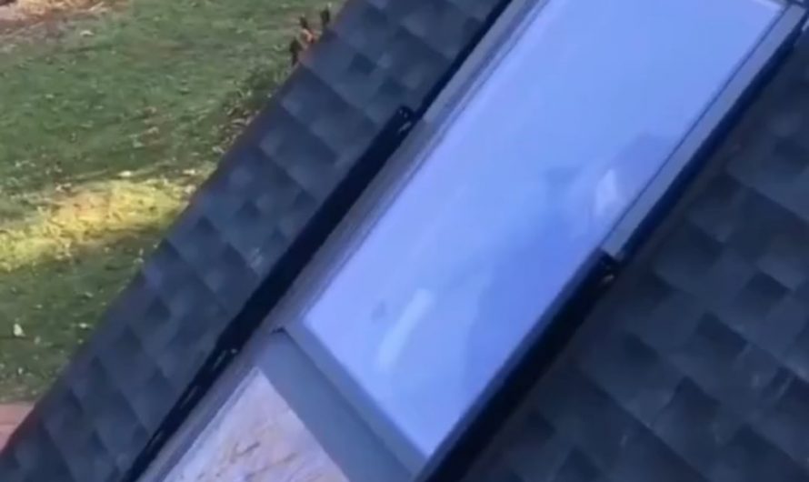 Engineer made a window that converts into a balcony