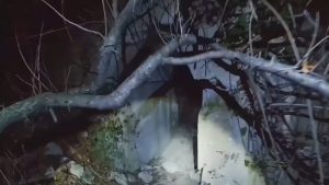 Entrance into a massive WW2 Bunker [Full Exploration Below]