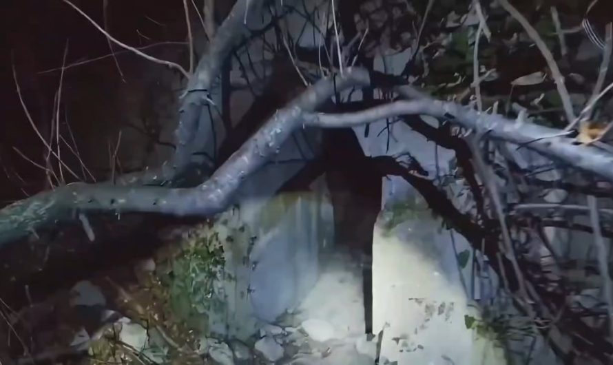 Entrance into a massive WW2 Bunker [Full Exploration Below]