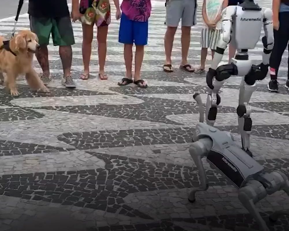 Even Robots have robo pets now