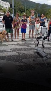 Even Robots have robo pets now