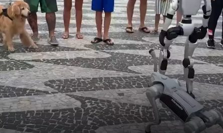 Even Robots have robo pets now