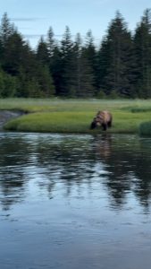Eye contact from across the creek