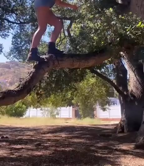 Failed successfully.