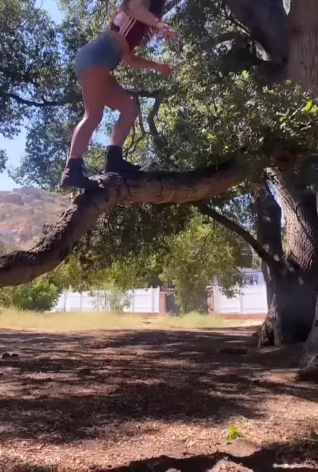 Failed successfully.