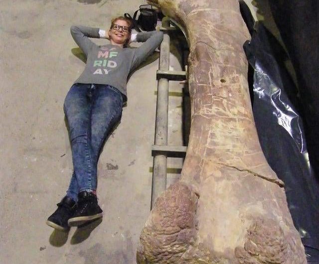 Femur of a patagotitan, a close relative of the more famous argentinosaurus.