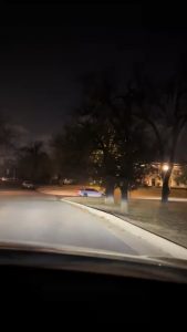 First time seeing a willow tree at Christmas time 🎄