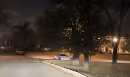 First time seeing a willow tree at Christmas time 🎄