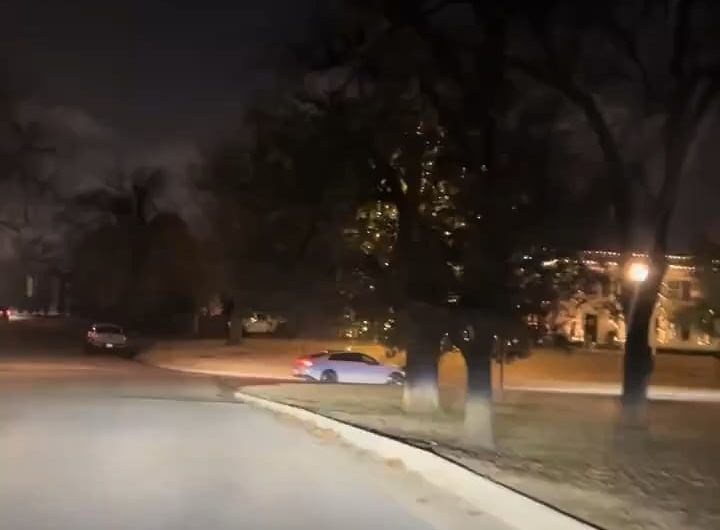 First time seeing a willow tree at Christmas time 🎄