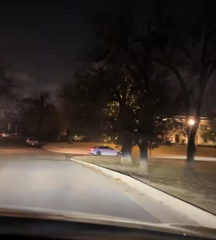 First time seeing a willow tree at Christmas time 🎄