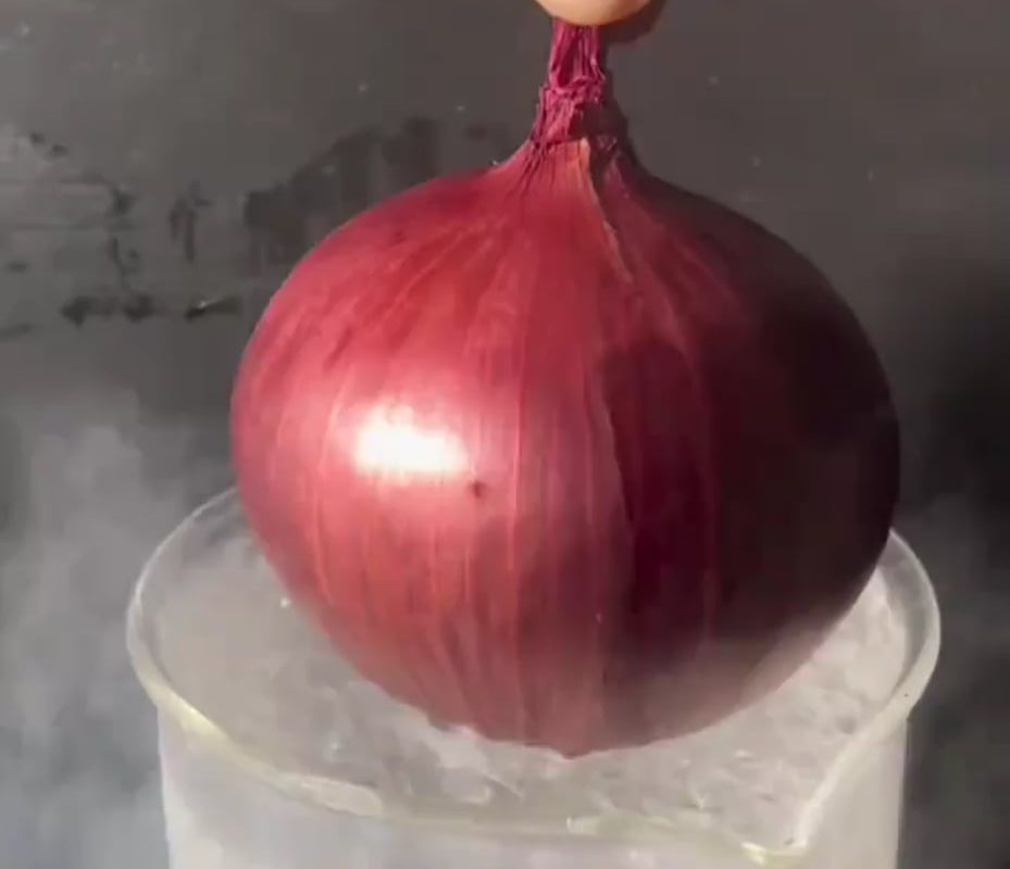 Food vs liquid nitrogen