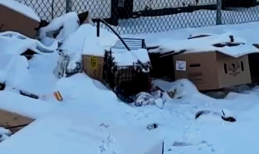 For 2025, I cleaned up over Five Metric Tonnes of litter in Calgary, Alberta!