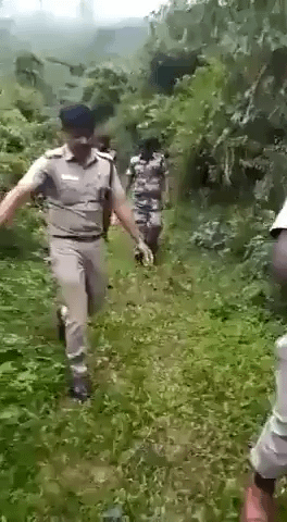 Forest officers in India helping a lost baby elephant find it's family