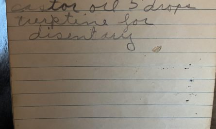 Found in my Great Great Grandma’s farm notebook. EST early 1900’s