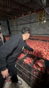 Fresh pomegranate juice