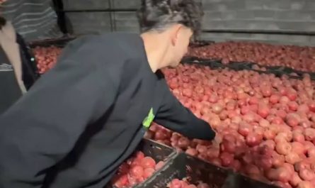 Fresh pomegranate juice