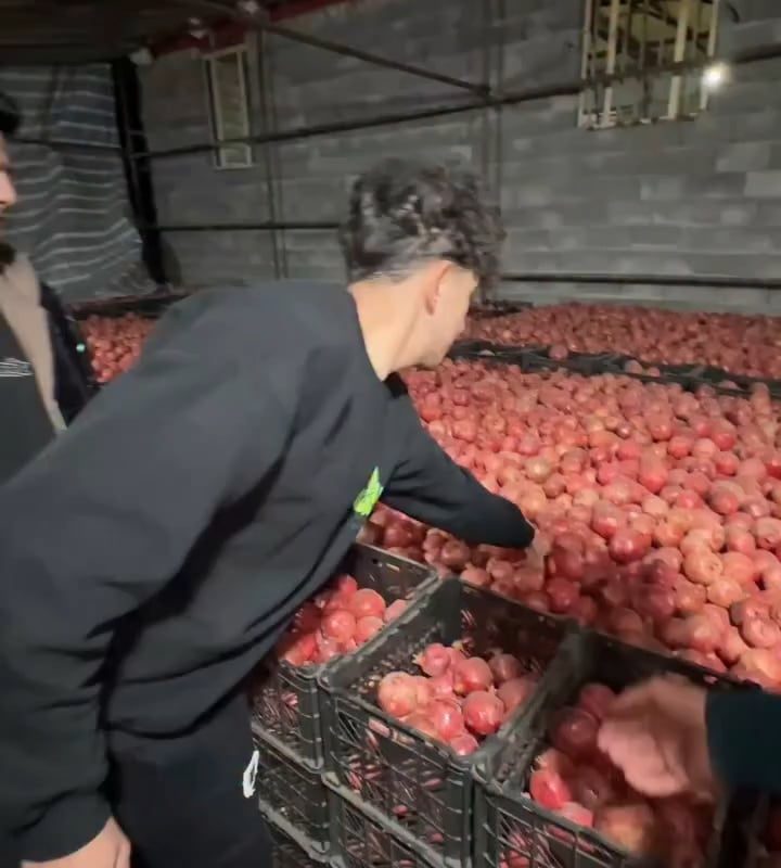 Fresh pomegranate juice
