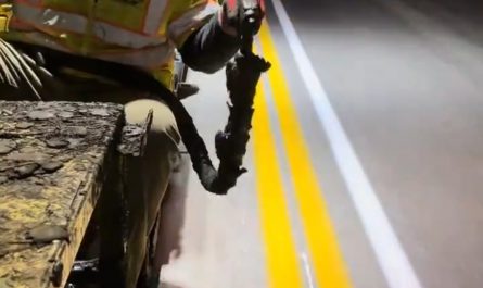 From poruing in round to perfect placement, they are Masters at work !!