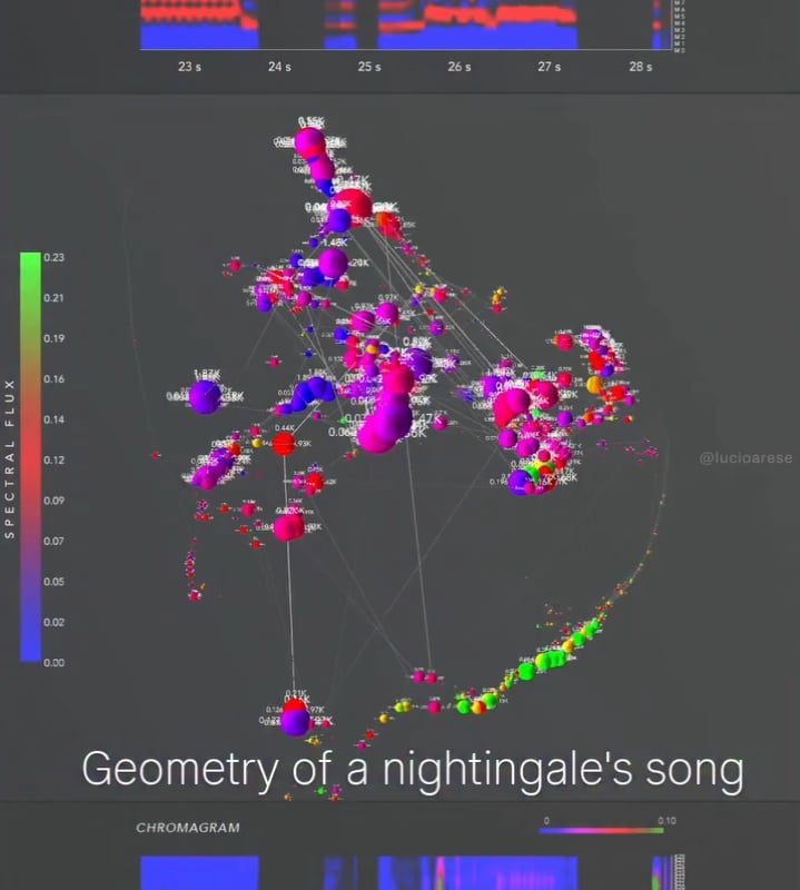 Geometry generated by a singing nightingale. Credit: @lucioarese (Instagram).