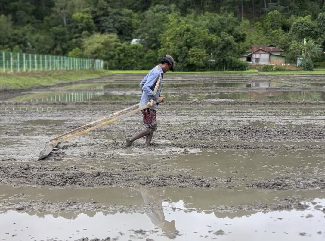 Getting ready for the rice paddy field. No machine, just raw strength. This is my home state: Manipur, in northeast India.