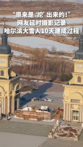 Giant snowman in Harbin, China, 19 meters (62 feet) tall and carved out of over 3,500 cubic meters of snow.