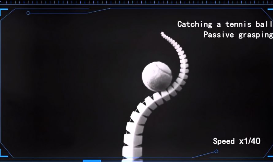 Grasping, whipping, throwing and catching robot arms inspired by elephant trunks and octopus arms